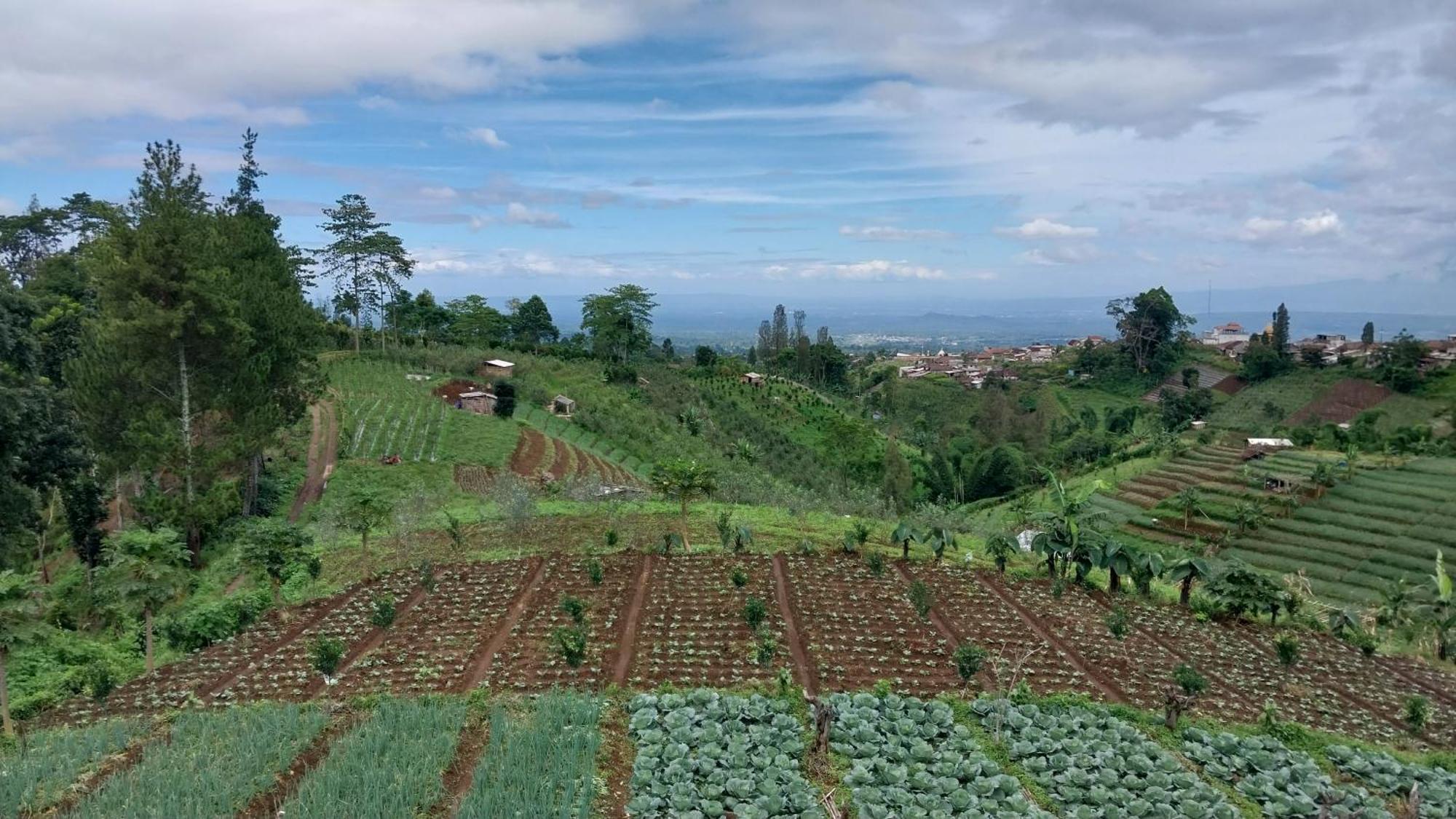 Maison Manendra - Bromo Malang Exteriér fotografie