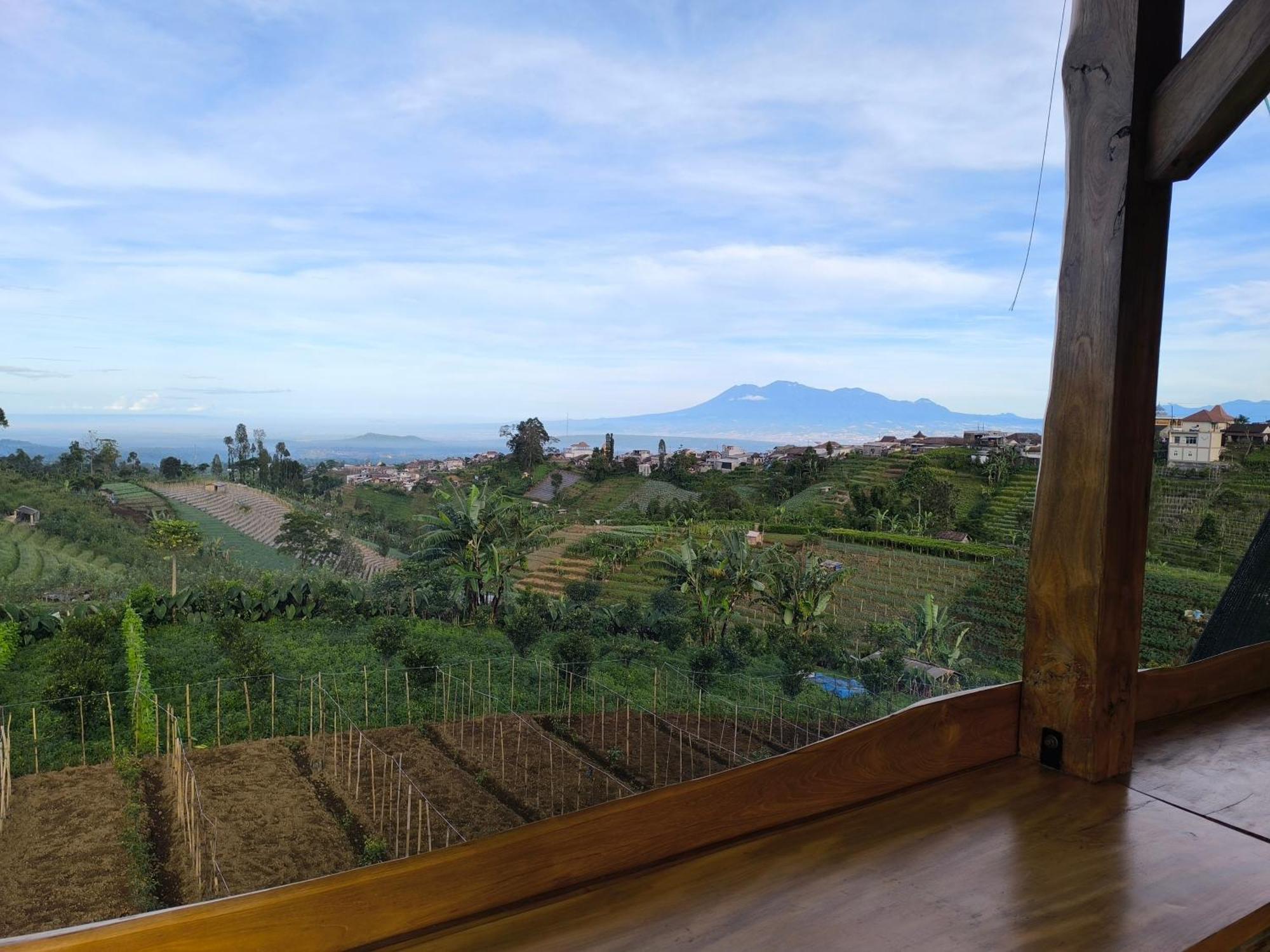 Maison Manendra - Bromo Malang Exteriér fotografie
